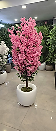 Hacimli Karbonfiber saksıda Pembe Bahar dalı - 180 cm