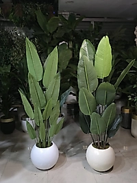 Karbonfiber Küre saksıda Yeni (Yabani) Starliçe