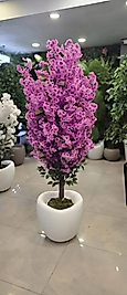 Hacimli Karbonfiber saksıda Mor Bahar Dalı - 180 cm