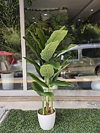 Plastik Yakut saksıda Muz Ağacı