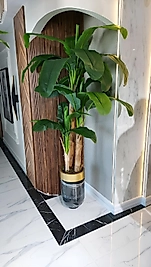 Yapay Muz Ağacı - Darbuka Saksı