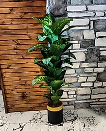 Yapay Difenbahya Ağacı - Silindir (Düz) Saksı