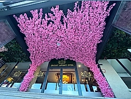 Büyük Mor Bahar Ağacı