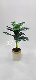 Düz saksıda Küçük Yeni Areka 100 cm - Premium
