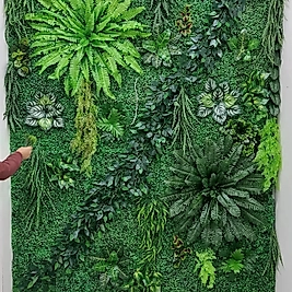 Dikey Bahçe Duvar Bahçe 2