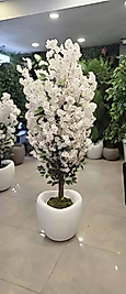 Hacimli Karbonfiber saksıda Beyaz Bahar Dalı - 180 cm