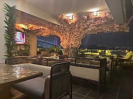 Gerçek Gövdeli Yapay Ağaç