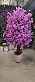 Pudra Eğri Karbonfiber saksıda Dev Boy Bahardalı - 220 Lila Çiçekli