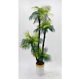 Silindir saksıda 4'lü Areka Palmiyesi - Premium