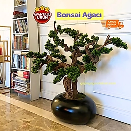 Karbonfiber saksıda Bonsai - Premium