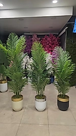 Yarım Darbuka Metal saksıda Tusem Areka