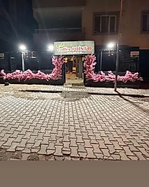 Bahar Dalı Seperatör