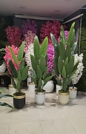 Metal Yarım Darbuka saksıda Starliçe