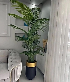 Darbuka saksıda Tusem Areka - Premium