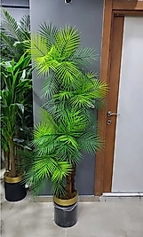 4'lü Demet Areka Ağacı