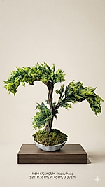 Beyaz Melamin saksıda İnce yapraklı Bonsai