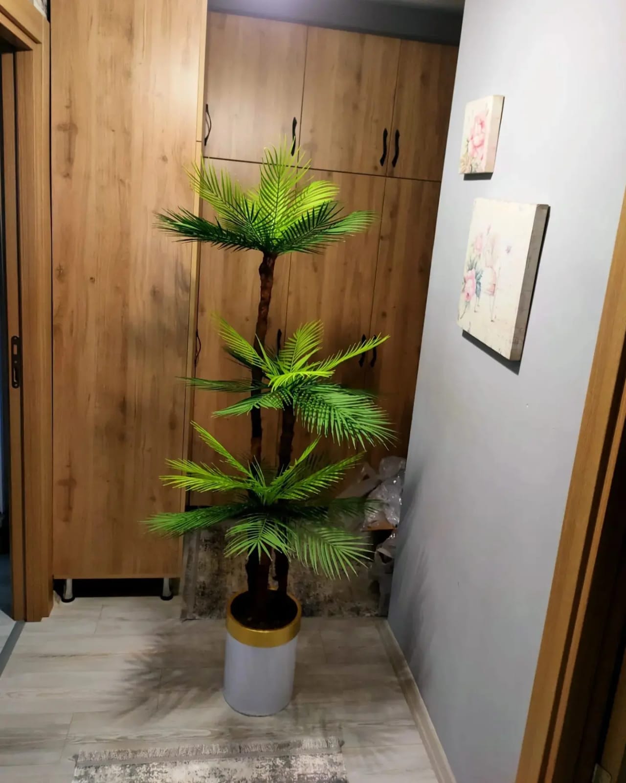 Silindir saksıda 3'lü Areka Palmiyesi - Premium